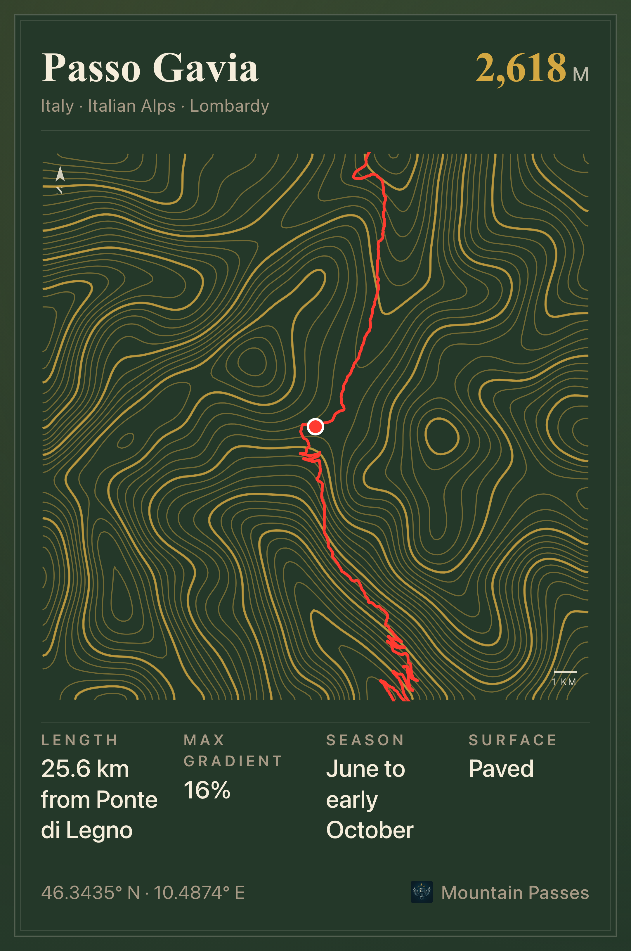 Topographic plate of Passo Gavia