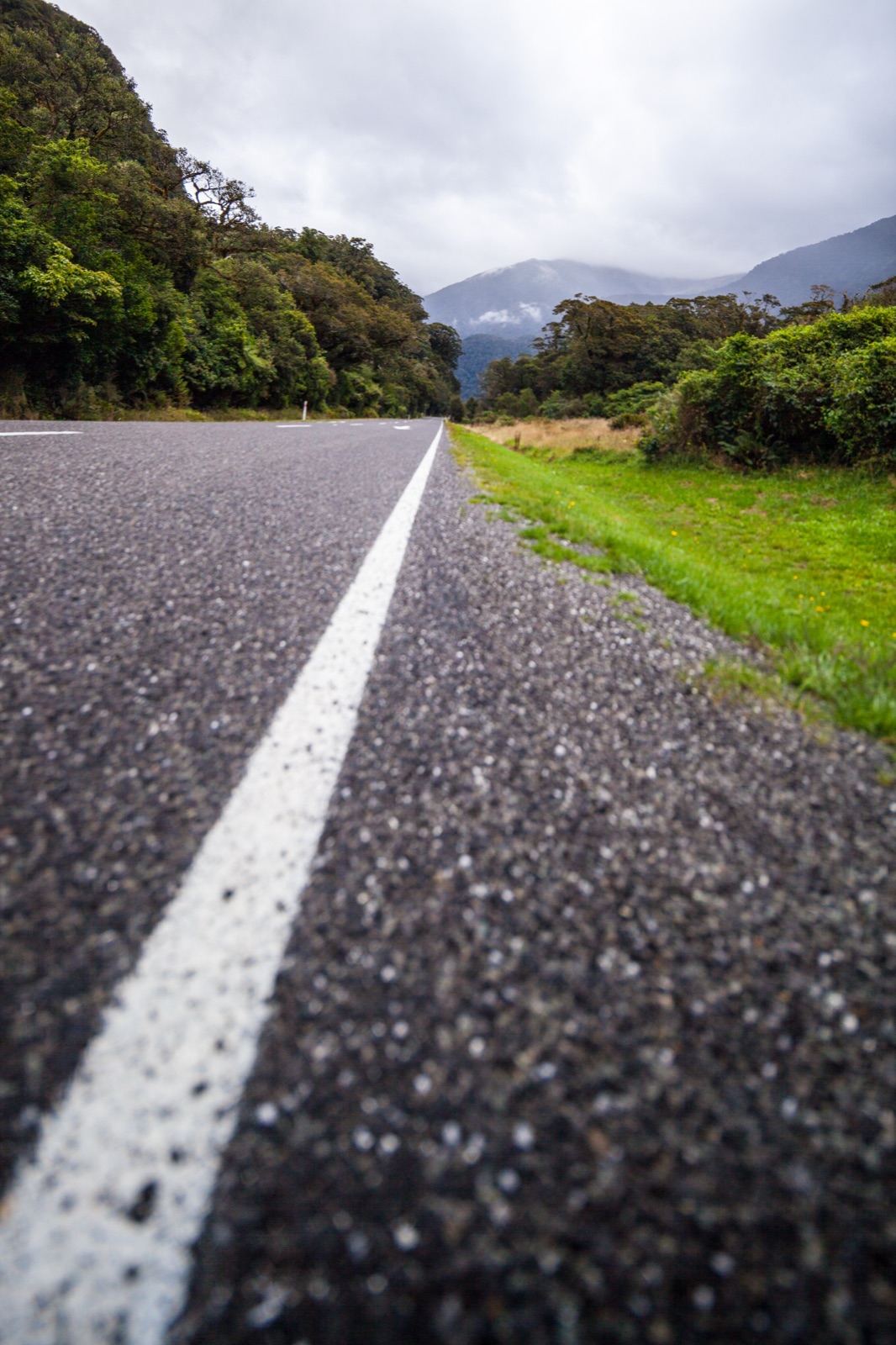 State Highway 6 descending through the Haast Pass